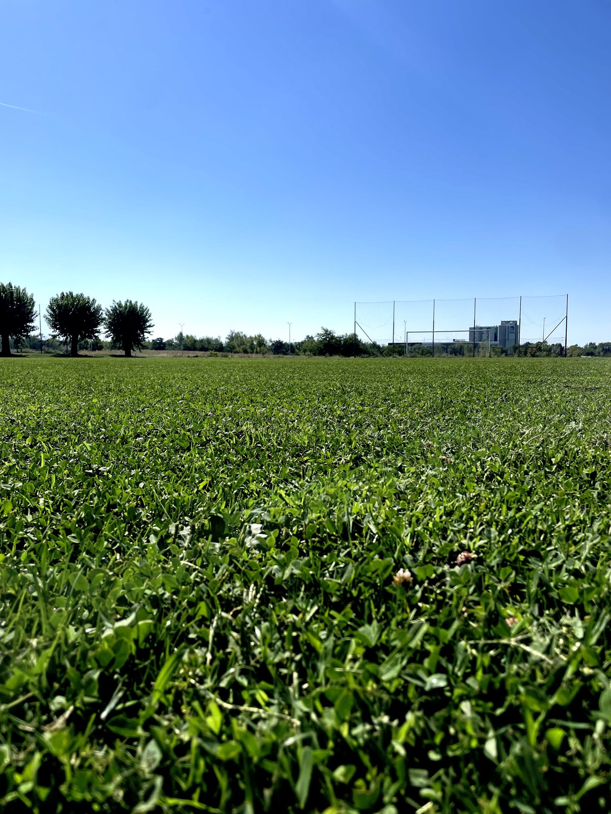 CAMPO PERFORMANCE 1 — Michelin Sport Club
